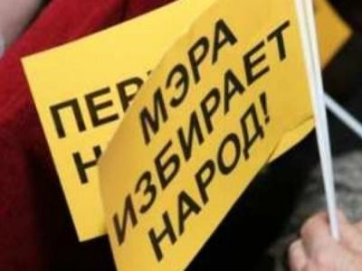 "За прямые выборы мэра!" Фото: yarnovosti.com